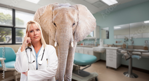 Canvastavla Serious Female Blonde Doctor in a Hospital with an Elephant in the Room