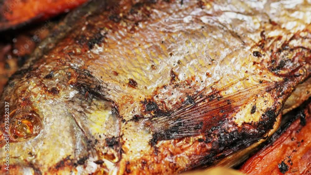 Dorado fish baked in oven with spices and carrots on baking sheet. Close up shot Dorado fish baked in oven with spices and carrots on baking sheet. Close up shot