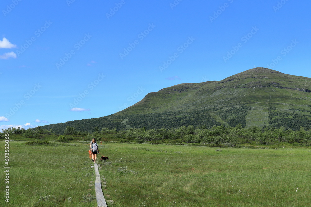 Wooden plank at trail. For walking. Summer day, July. Ansätten mountain in the background. Jämtland, Sweden.
