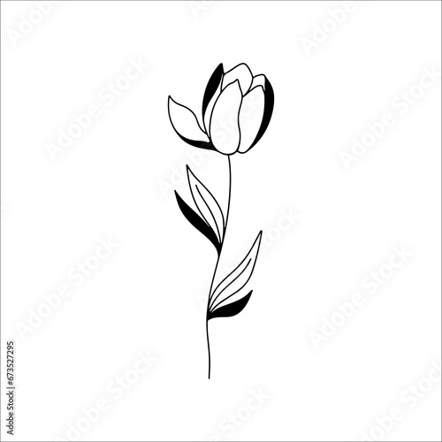 concept flower line illustration vector