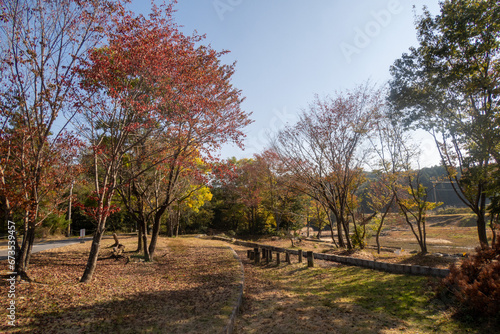 金勝アルプス登山口の紅葉 © 金田　哲郎