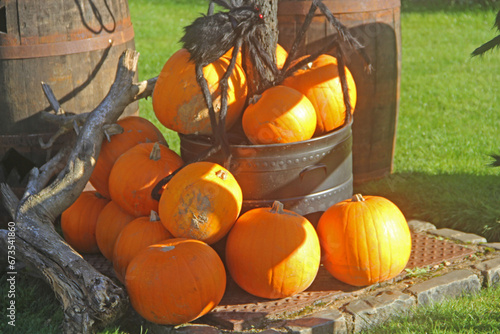 pumpkin and pumpkins