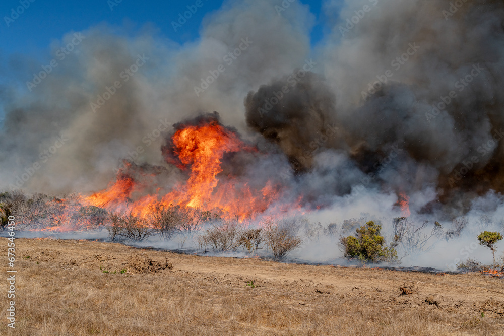 Wildfire Out of Control