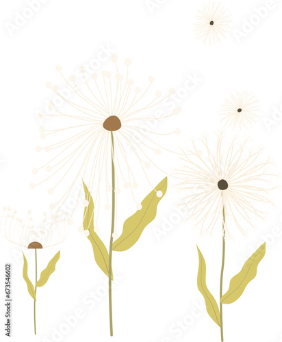 set of illustrations of yellow meadow flowers dandelion and green leaves. hand painted for design and invitations.