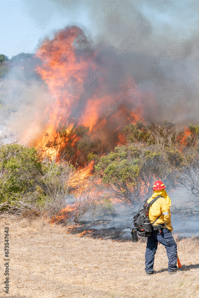Obraz premium Firefighter Fighting Wildfire