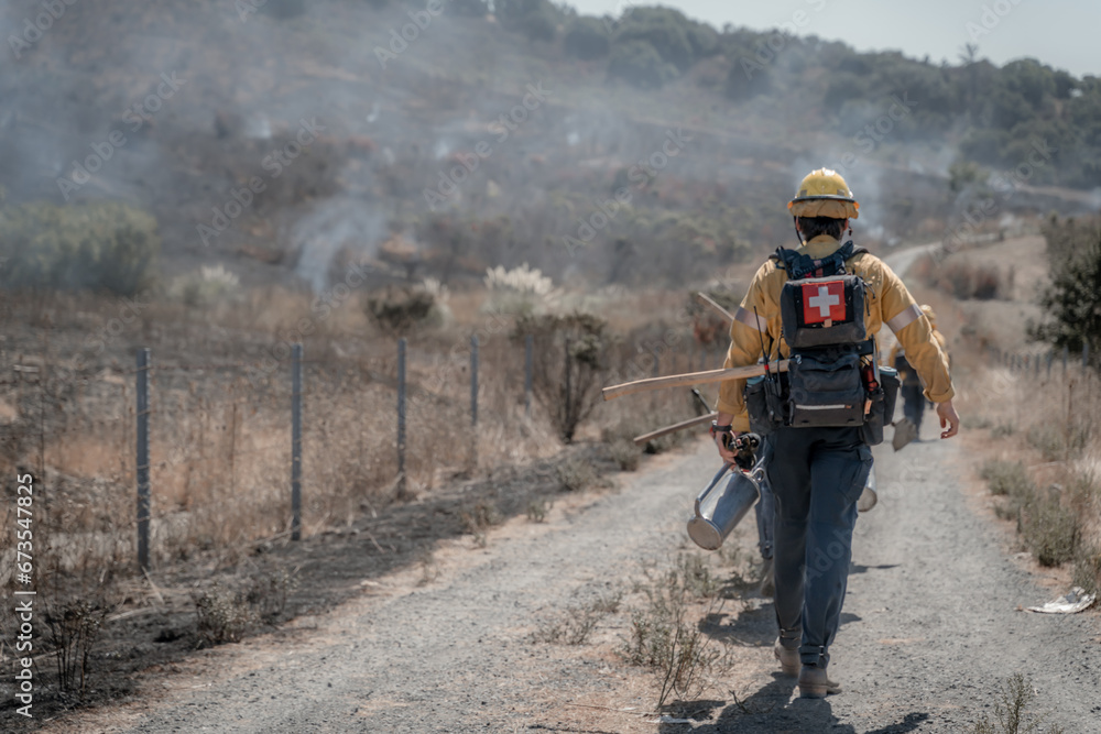 Naklejka premium Firefighter Fighting Wildfire
