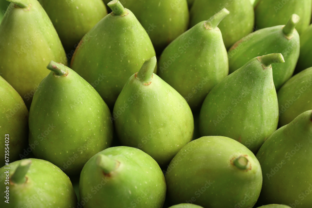 Many fresh green figs as background, closeup Many fresh green figs as background, closeup