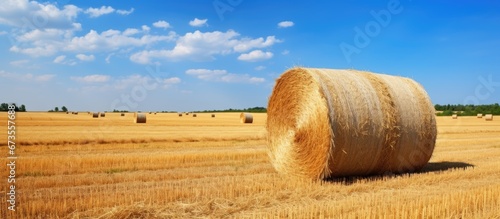 The natural landscape of the countryside is showcased by beautiful straw and bales scattered across the fields while a hay roll sits on a meadow under a deep blue summer sky
