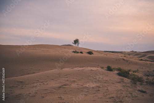 Sunset over the sand dunes in the Gobi Desert in Inner Mongolia, China