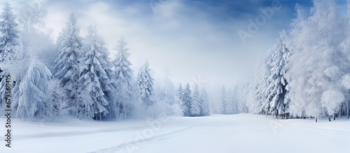 Background of a road in a forest covered with winter snow