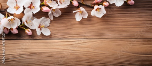 Wooden surfaces are adorned by the blossoming of almond flowers and the growth of almond seeds