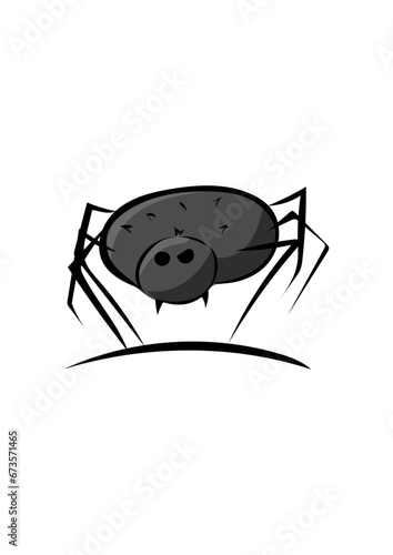 Spinne