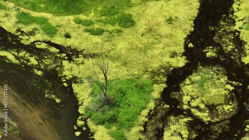 Bird's Eye View Over Wetland At Trempealeau National Wildlife Refuge, Wisconsin, USA - drone shot photo