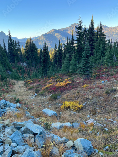 mountain river in autumn