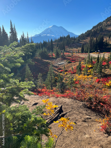 landscape in the mountains
