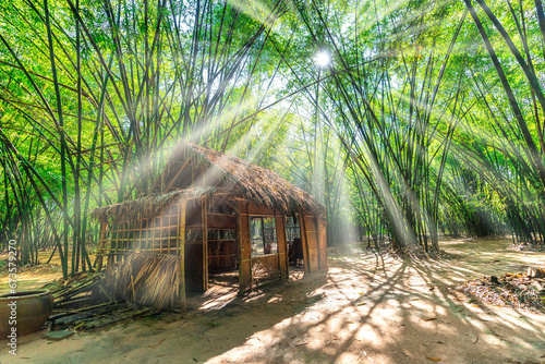 Temporary accommodation or hut in the green bamboo forest with ray of lights at Binh Duong, Vietnam.