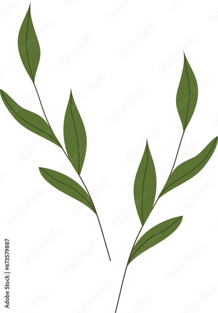 Two plant illustration