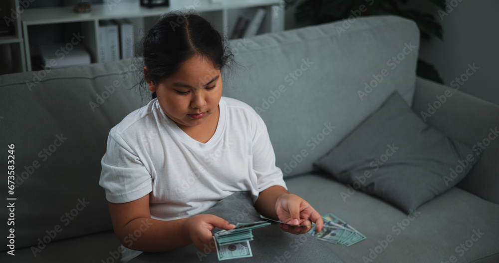 Portrait of young Asian woman enjoy counting cash dollars banknotes on sofa in the living room at home. Portrait of young Asian woman enjoy counting cash dollars banknotes on sofa in the living room at home.