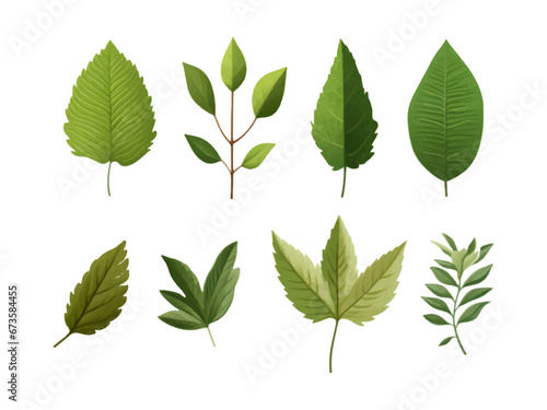 Vector set of leaves on white background © Kpow27