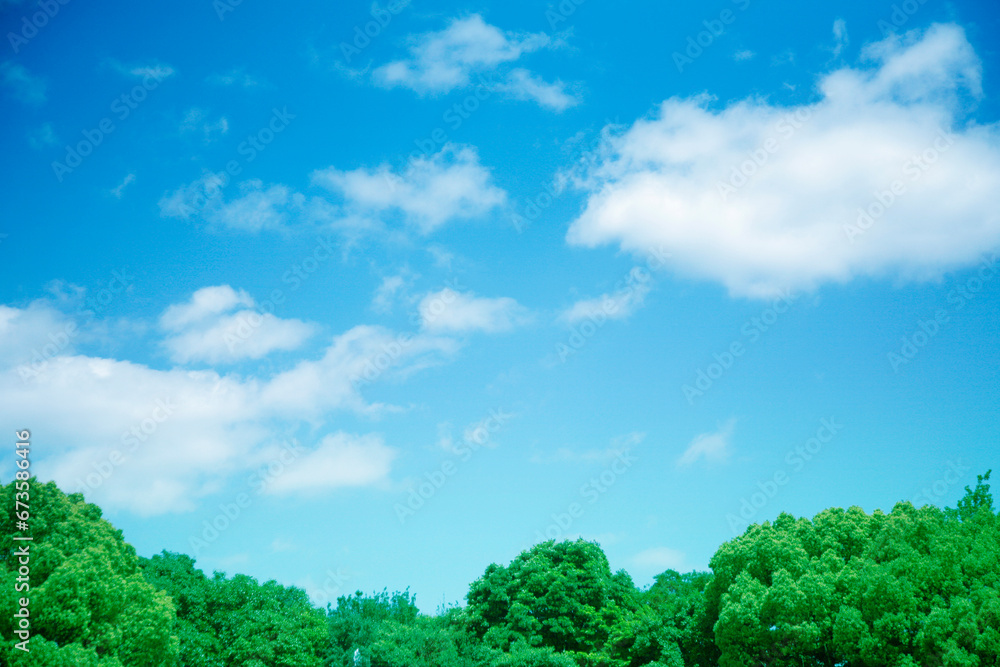 Obraz premium 新緑