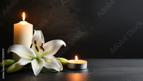 In the Shadows: Candle and Lily for Contemplation