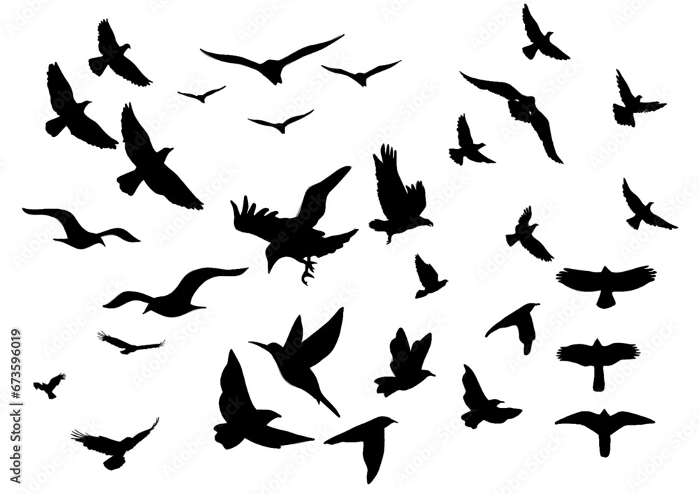 set of silhouettes of birds set of silhouettes of birds