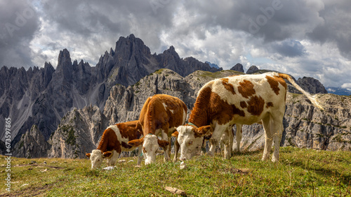 die drei Zinnen - Dolomiten - Italien © jsr548