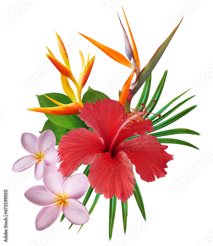 Tropical bouquet with red hibiscus flower, pink plumeria, bird of paradise and green leaves isolated on transparent background