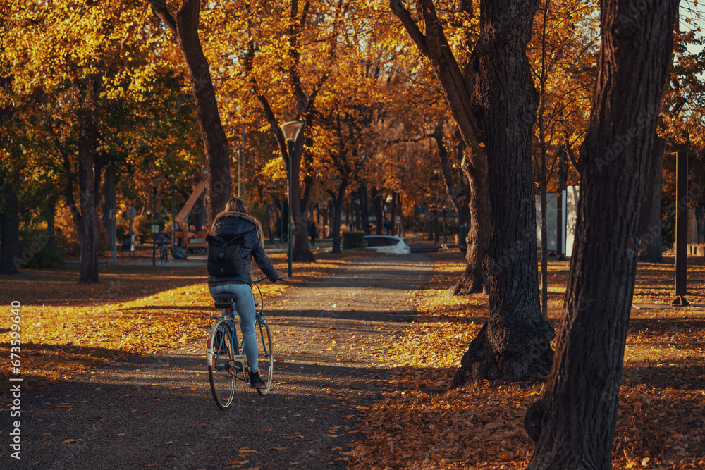 girl riding a bike in the park girl riding a bike in the park