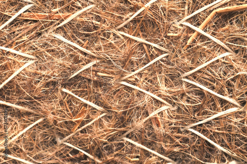 Fotomurale texture of hay