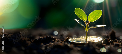 small green sprout breaking through a pile of coins, epitomizing the potential for financial growth and the impact of smart investment decisions. copy text space photo