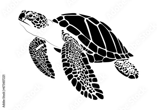 graphic sea turtle , vector illustration of sea turtle , vector of turtle design on a white background