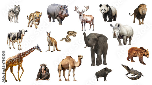 African safari animal on transparent background. Illustration set. Wildlife © Ziyasier
