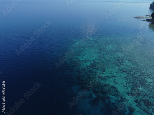 Tranquil Underwater Scenery: Peaceful Marine Life in Clear Blue Ocean in maluku © ANDRI