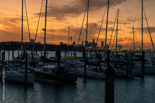 sunset in the harbor