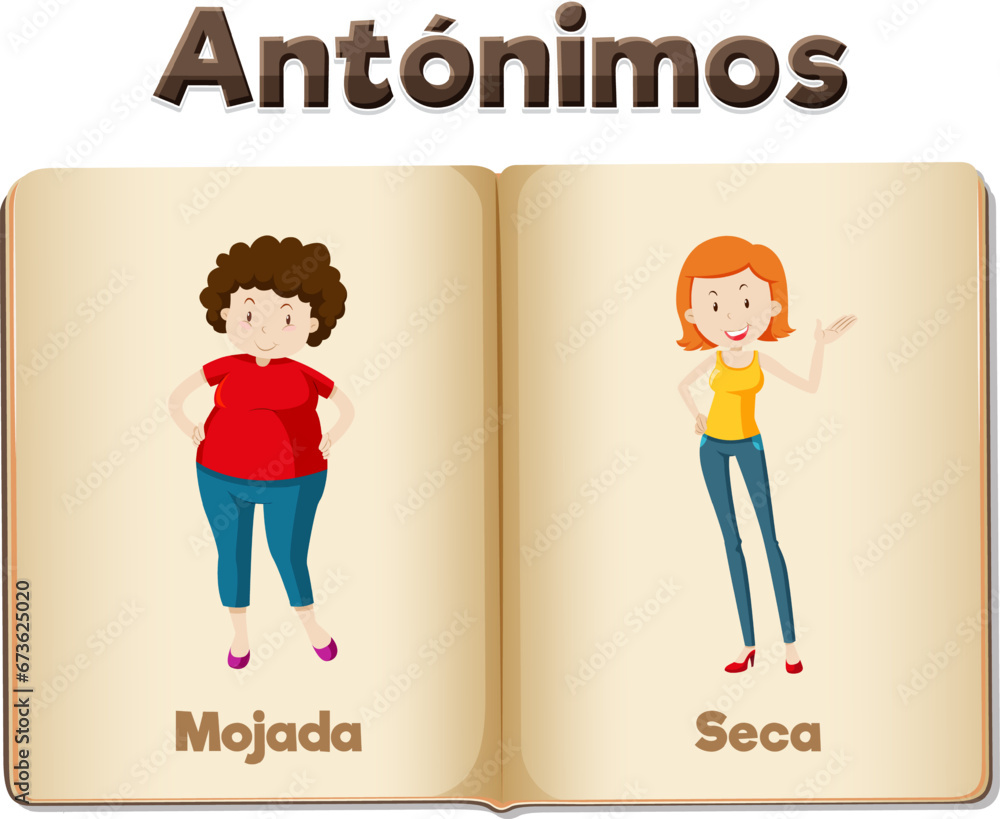 Education Antonyms: Gordo and Delgado in Spanish Language fat and slim Education Antonyms: Gordo and Delgado in Spanish Language fat and slim