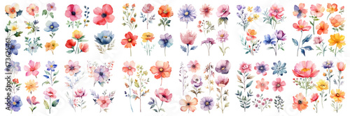 A Big watercolor floral package collection. Use by fabric, fashion, wedding invitation, template, poster, romance, greeting, spring, bouquet, pattern, decoration and textile. 