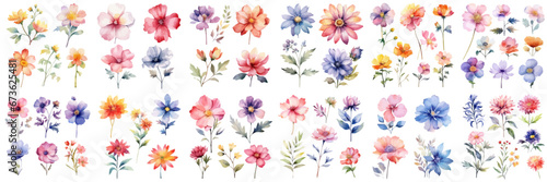 A Big watercolor floral package collection. Use by fabric, fashion, wedding invitation, template, poster, romance, greeting, spring, bouquet, pattern, decoration and textile.	