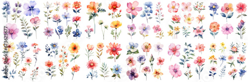 A Big watercolor floral package collection. Use by fabric, fashion, wedding invitation, template, poster, romance, greeting, spring, bouquet, pattern, decoration and textile.	