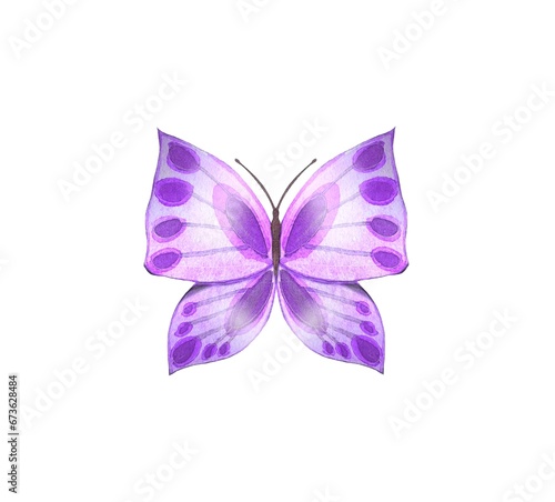 Hand drawn abstract butterfly in purple tones on a white background