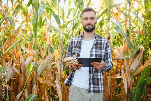 A man inspects a corn field and looks for pests. Successful farmer and agro business.