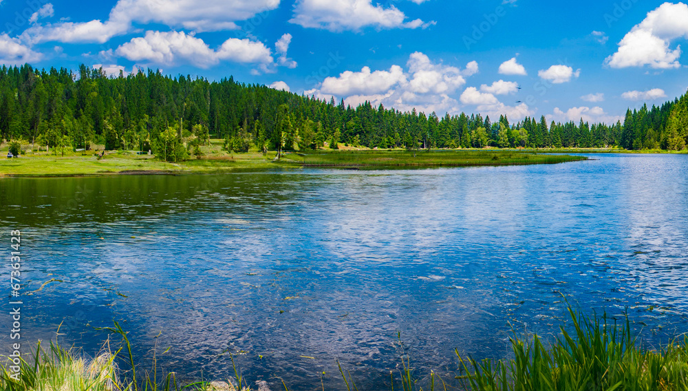 Fototapeta premium Scenic View of Lake in Forest .