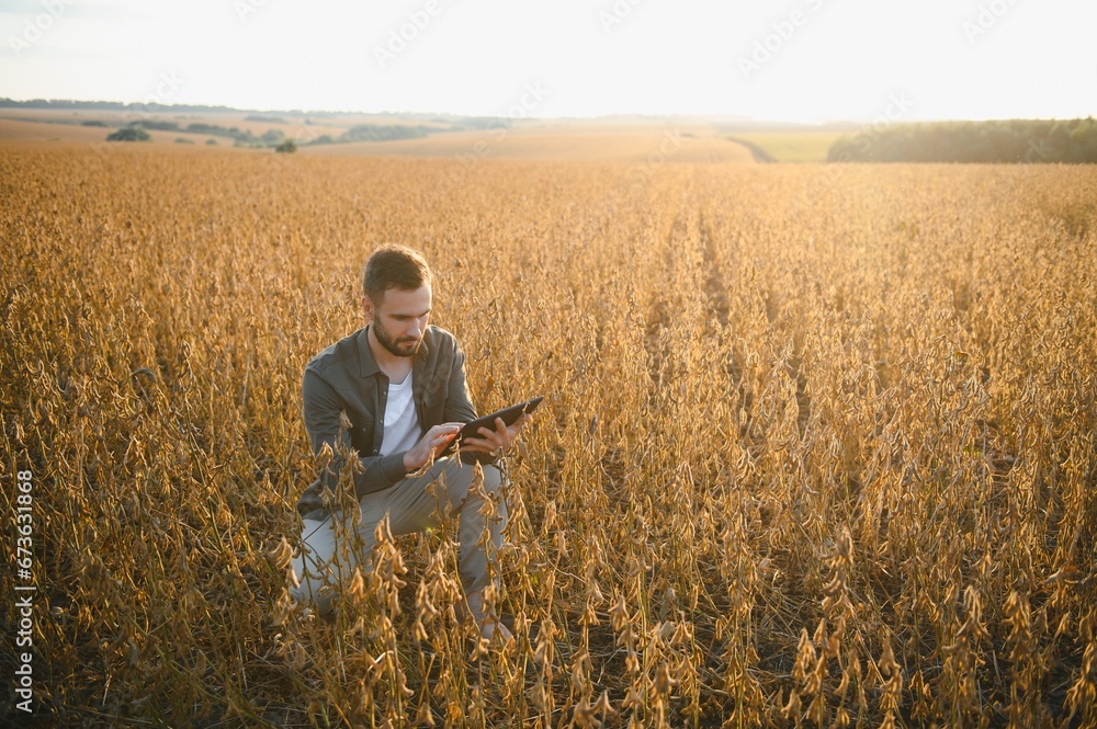 Farmer agronomist on a soybean field. Agricultural industry. Farmer agronomist on a soybean field. Agricultural industry.