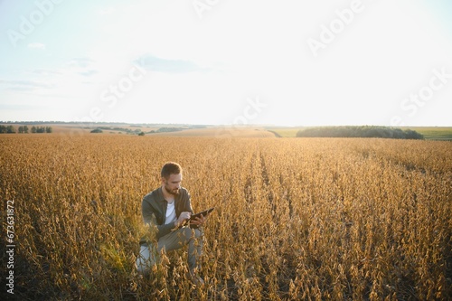 Young handsome farmer in soybean field at sunset. An agronomist examines the soybean crop.