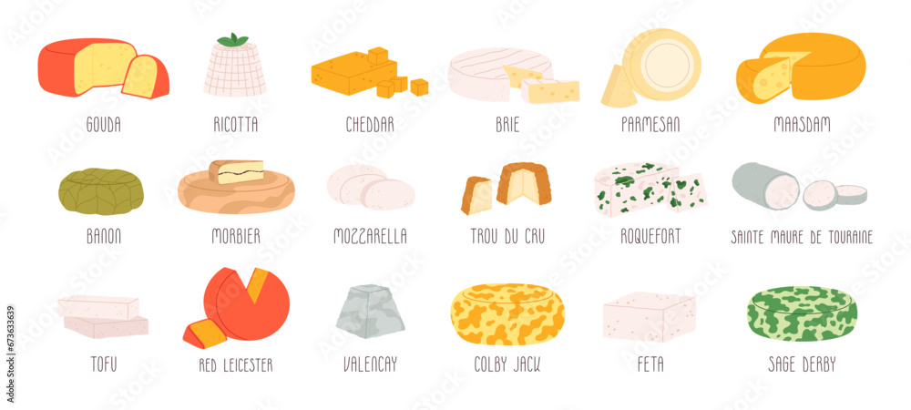 Various cheese collection. Cartoon cheeses for restaurant or market. Isolated dairy products, fresh farm curd delicious racy vector clipart