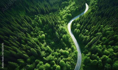 curvy road through green summer forest drone view, Generative AI