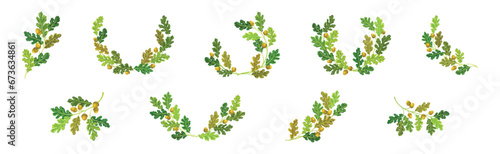 Oak Branches with Green Leaves and Acorns Arranged in Laurel Vector Set