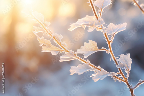 Branches of a shrub with yellow leaves covered frozen macro photography winter concept. Generative AI © Visual