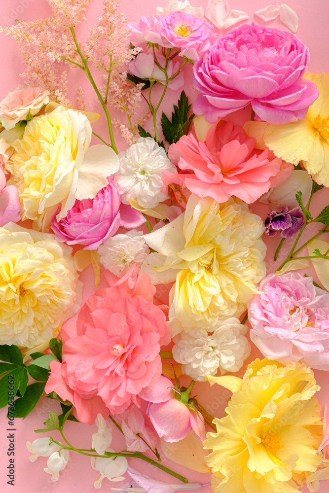summer flowes and leaves, top view summer flowes and leaves, top view