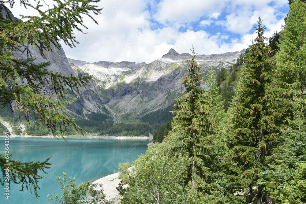 Swiss Alpine Forest and Lake View in Valais